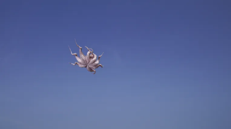 Asta Gröting, Things, 2018, Videostill, 4K UHD-Video mit Ton, 6:32 min