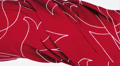 Fotografie aus der Serie „Kleid“), blutroter eingedrehter Stoff mit einer weißen Naht in floralem Muster bestickt