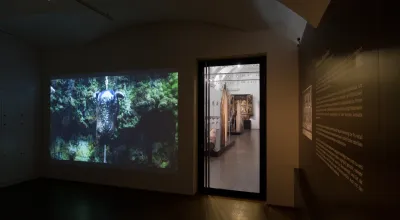 Christian Mayer - Musis et Mulis