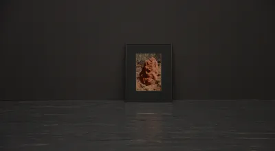 21er Raum: Susanne Kriemann