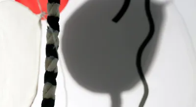 C-Print   60 x 80 cm