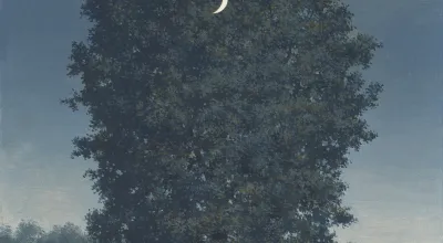 Die Nacht im Zwielicht