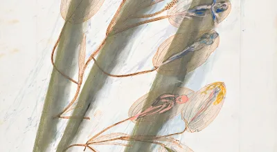 Arnulf Rainer / Günter Brus