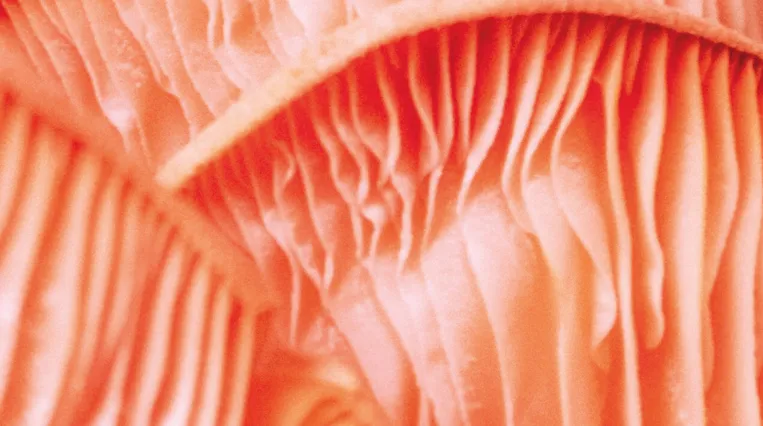 Public Program Sujet